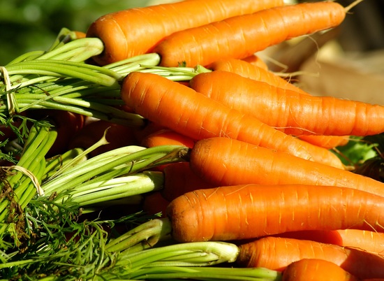 Свежая морковь и картофель подешевели на 12% в Волгоградской области